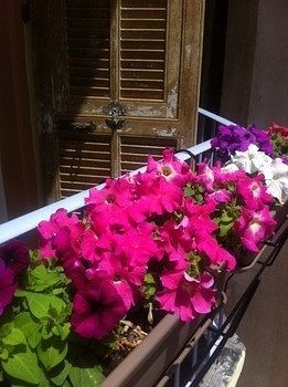Hostel Altea Ницца Экстерьер фото